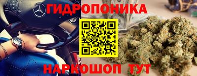 гашик Краснокаменск