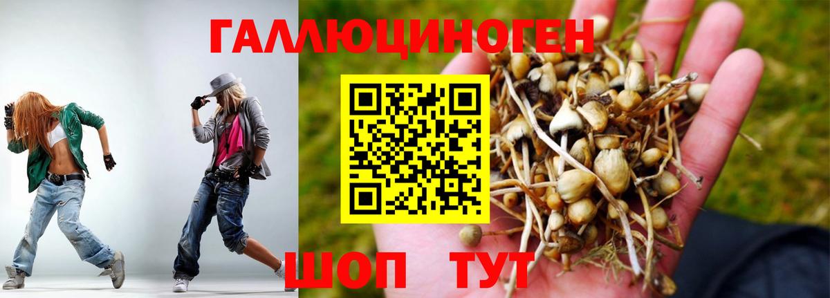 Когалым  Псилоцибиновые грибы Psilocybine cubensis  Вход с VPN  закладки  Псилоцибиновые грибы мицелий 